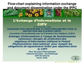 Flow-chart explaining information exchange and document dissemination under the IPPC