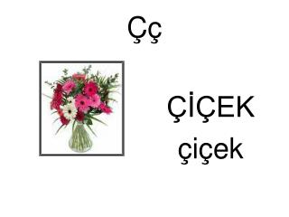 ÇİÇEK çiçek