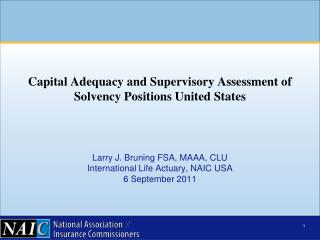 Larry J. Bruning FSA, MAAA, CLU International Life Actuary, NAIC USA 6 September 2011