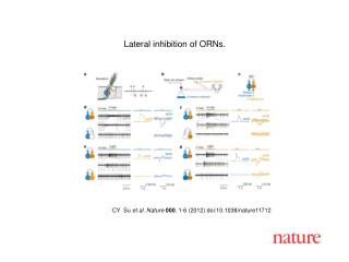 CY Su et al. Nature 000 , 1 -6 (2012) doi:10.1038/nature11712