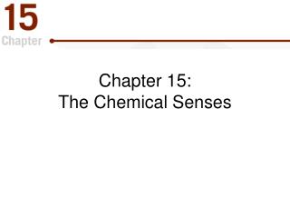 Chapter 15: The Chemical Senses