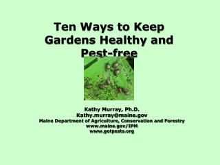 Ten Ways to Keep Gardens Healthy and Pest-free