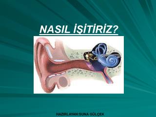 NASIL İŞİTİRİZ?