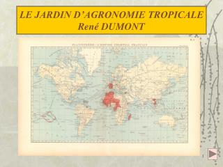 LE JARDIN D’AGRONOMIE TROPICALE René DUMONT