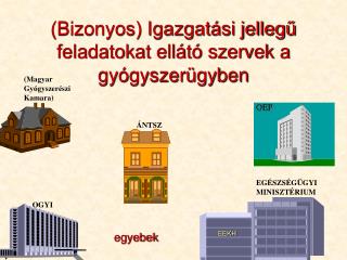 (Bizonyos) Igazgatási jellegű feladatokat ellátó szervek a gyógyszerügyben