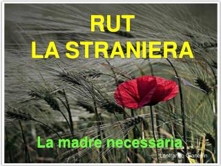 RUT LA STRANIERA