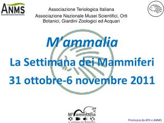 M'ammalia La Settimana dei Mammiferi 31 ottobre-6 novembre 2011