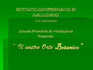 ISTITUTO COMPRENSIVO DI GALLICANO A.S. 2012/2013 Scuola Primaria di Molazzana Presenta: