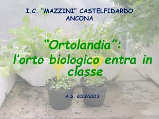 I.C. “MAZZINI” CASTELFIDARDO ANCONA