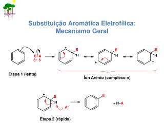 Substituição Aromática Eletrofílica: Mecanismo Geral