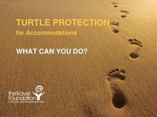 TURTLE PROTECTION for Accommodations