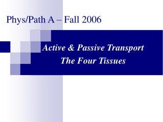 Phys/Path A – Fall 2006