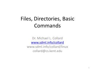 Files, Directories, Basic Commands