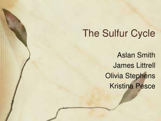 The Sulfur Cycle