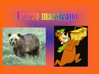 L’orso marsicano