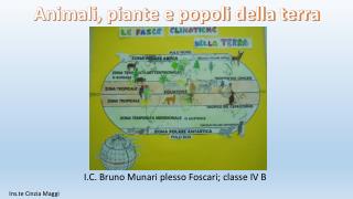 I.C. Bruno Munari plesso Foscari; classe IV B