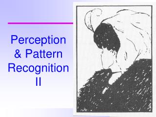 Perception &amp; Pattern Recognition II