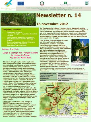 Newsletter n. 14 16 novembre 2012