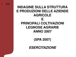 Questionario di rilevazione ISTAT/SPA 2007