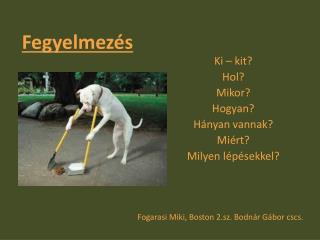 Fegyelmez é s