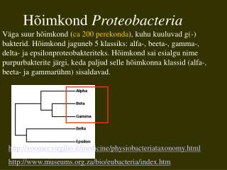Hõimkond Proteobacteria