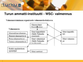 Turun ammatti-instituutti - WSC- valmennus