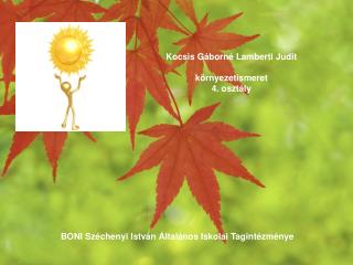 Kocsis Gáborné Lamberti Judit környezetismeret 4. osztály