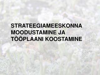 STRATEEGIAMEESKONNA MOODUSTAMINE JA TÖÖPLAANI KOOSTAMINE