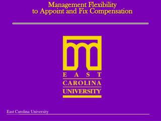 Management Flexibility to Appoint and Fix Compensation