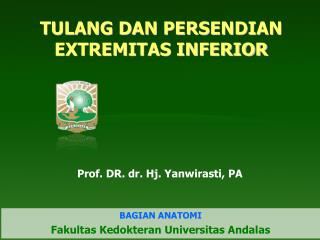 TULANG DAN PERSENDIAN EXTREMITAS INFERIOR