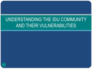 UNDERSTANDING THE IDU COMMUNITY AND THEIR VULNERABILITIES