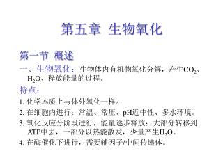 第五章 生物氧化