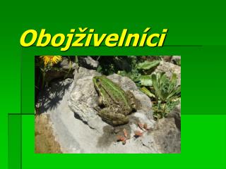 Obojživelníci