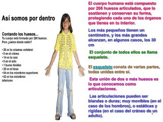 Los huesos del cuerpo humano presentan diferentes funciones como son : Sostén