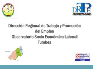 Dirección Regional de Trabajo y Promoción del Empleo Observatorio Socio Económico Laboral Tumbes