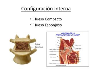 Configuración Interna