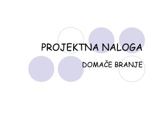 PROJEKTNA NALOGA