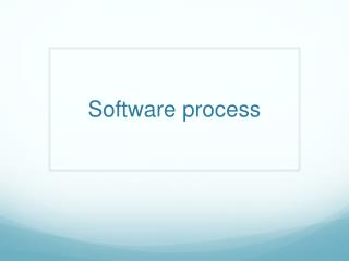 Software process