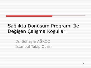 Sağlıkta Dönüşüm Programı İle Değişen Çalışma Koşulları