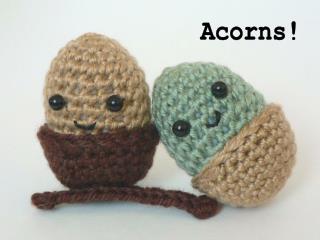 Acorns!