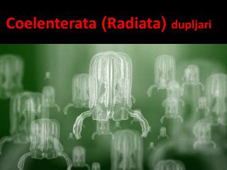 Coelenterata ( Radiata ) dupljari