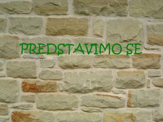 PREDSTAVIMO SE