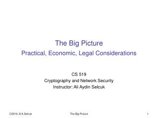 The Big Picture Practical, Economic, Legal Considerations