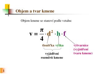 Objem a tvar kmene