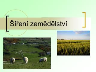 Šíření zemědělství