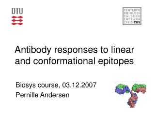 Antibody responses to linear and conformational epitopes