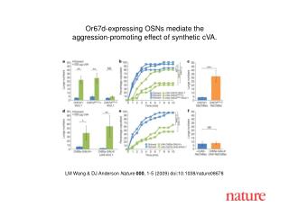 LM Wang &amp; DJ Anderson Nature 000 , 1-5 (2009) doi:10.1038/nature08678