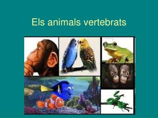 Els animals vertebrats