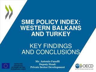 SME POLICY INDEX: WESTERN BALKANS AND TURKEY KEY FINDINGS AND CONCLUSIONS