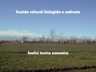 Tecniche colturali biologiche a confronto Analisi tecnico economica